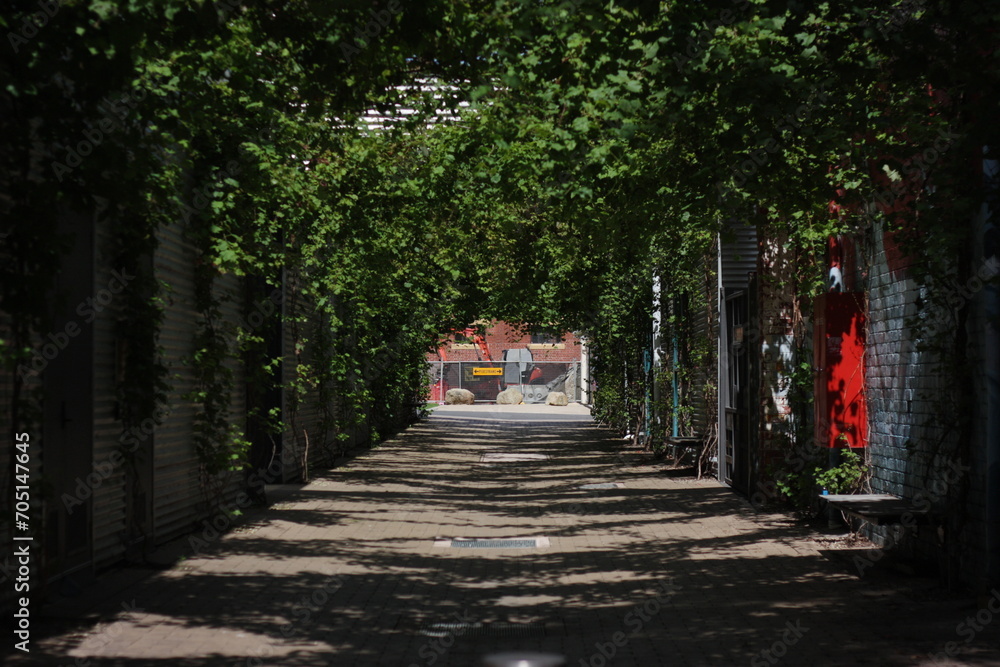alley in the city of melbourne australia