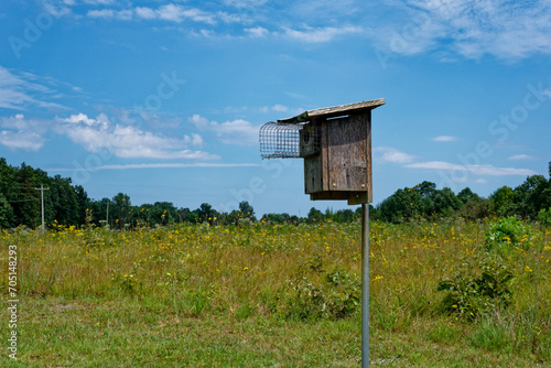 Eastern bluebird house in a prairie