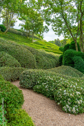 Idyllic garden scenery