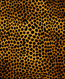 leopard pattern in palatial ebony