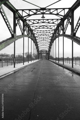 Fototapeta Naklejka Na Ścianę i Meble -  bridge in the city