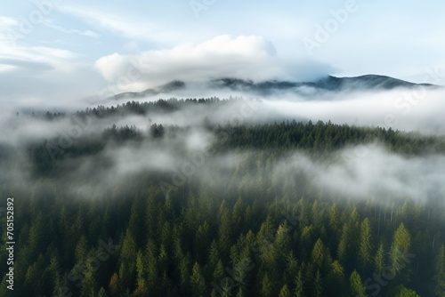 Misty Forest Landscape with Mountain and Fog