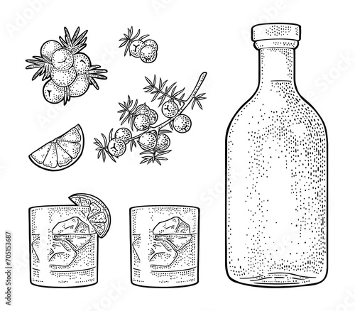 Glass and bottle gin, lime, branch juniper. Vintage vector engraving