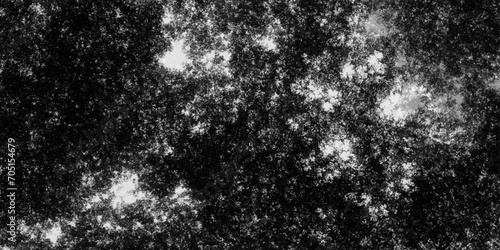 Grunge black and white crack paper rough black and white texture vector. Vintage abstract texture monochrome particles. White marble texture and vintage or grungy ceramic tile wallpaper.