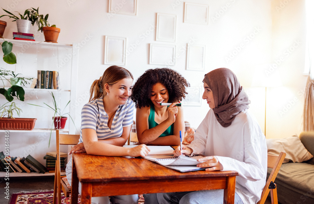 Three cute teenage girls do their homework. Caucasian, African American and a Muslim female teens sit at a table with books and notebooks. White wall and plant pots on background. Copy space. Three cute teenage girls do their homework. Caucasian, African American and a Muslim female teens sit at a table with books and notebooks. White wall and plant pots on background. Copy space.