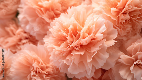 Close Up Macro of Peonies in Peach Fuzz Color of the Year 2024 © Seasonal Content