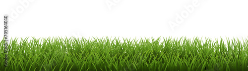 Green Grass Border Isoalated White Background