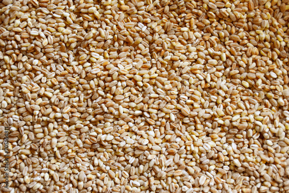 Obraz premium Barley texture background. Wheat grain texture, bread cereals. Pearl barley grains texture