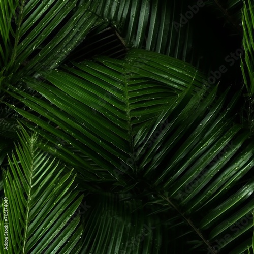 Tropical pattern with green palm tree leaves