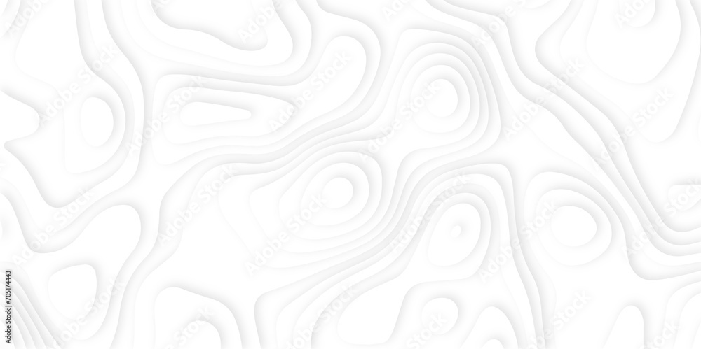 abstract White wave paper curved reliefs background, white wave paper curved reliefs abstract background . abstract White wave paper curved reliefs background, white wave paper curved reliefs abstract background .