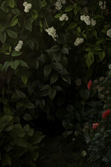 dark background featuring leaves and flowers. empty background except for the floral intricate dreamy background. leaves, ivy, vines, and flowers. Garden of eden concept photography 