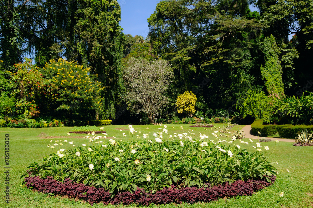 Tropical botanical garden with exotic trees and flowerbeds.