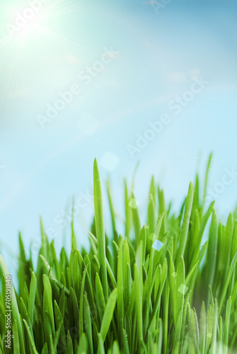 Fresh spring bokeh abstract background