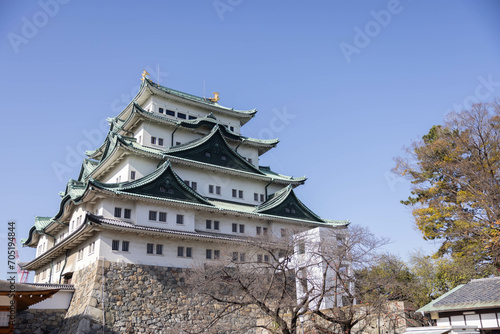View of Nagoya Castle photo