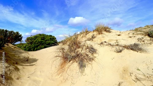 Dunes in the Arenosillo beach, located in Huelva, Spain. Explore the serene beauty of this coastal paradise with its sunlit sandy shores and the rhythmic ebb and flow of the Atlantic Ocean. photo