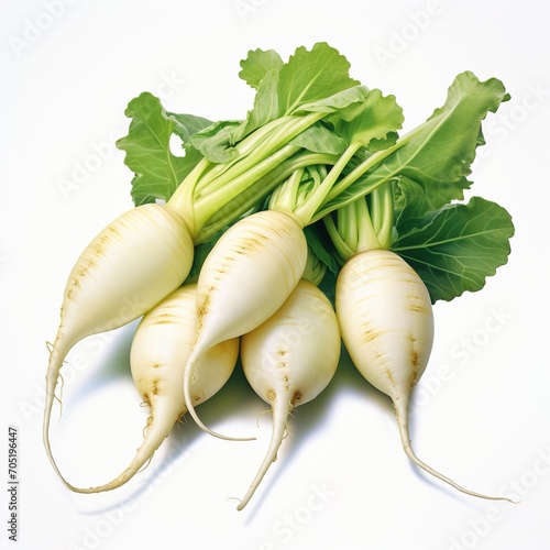 A bunch of fresh white radishes with green leaves photo