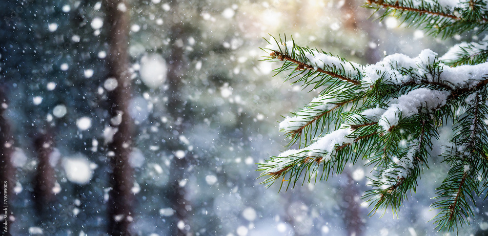 Frozen Elegance: Capturing the Beauty of Snowfall on a Spruce in the Forest Frozen Elegance: Capturing the Beauty of Snowfall on a Spruce in the Forest