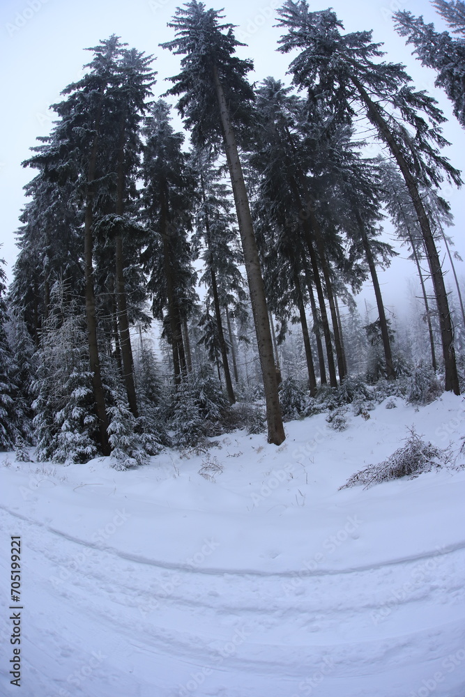 Wide angle winter shot in sudety mountains Wide angle winter shot in sudety mountains