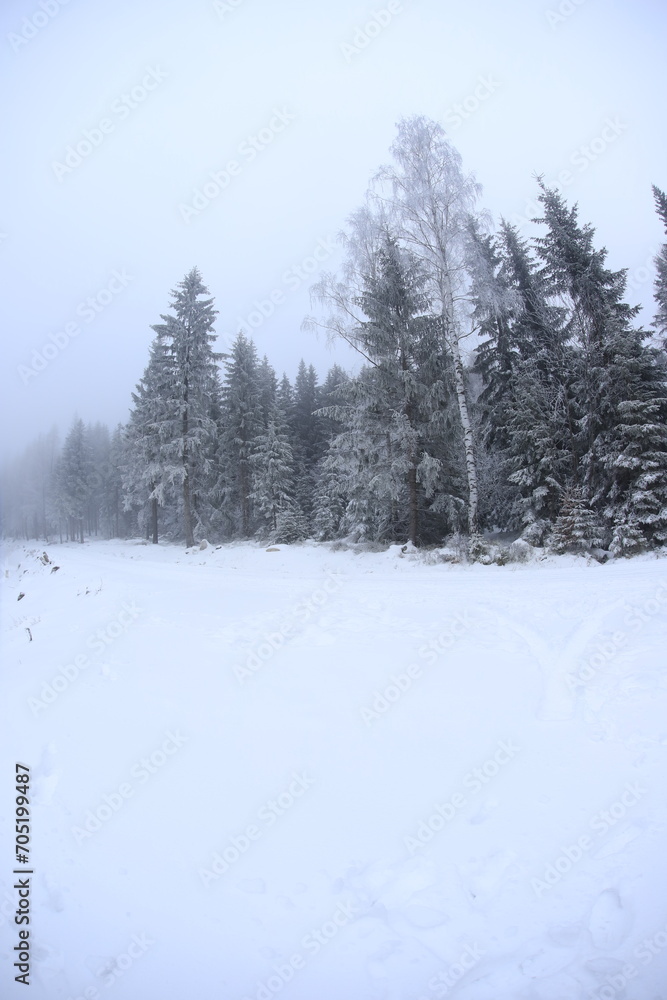 Wide angle winter shot in sudety mountains Wide angle winter shot in sudety mountains