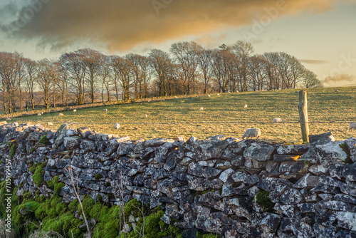 Walking in the Yorkshire Dales photo