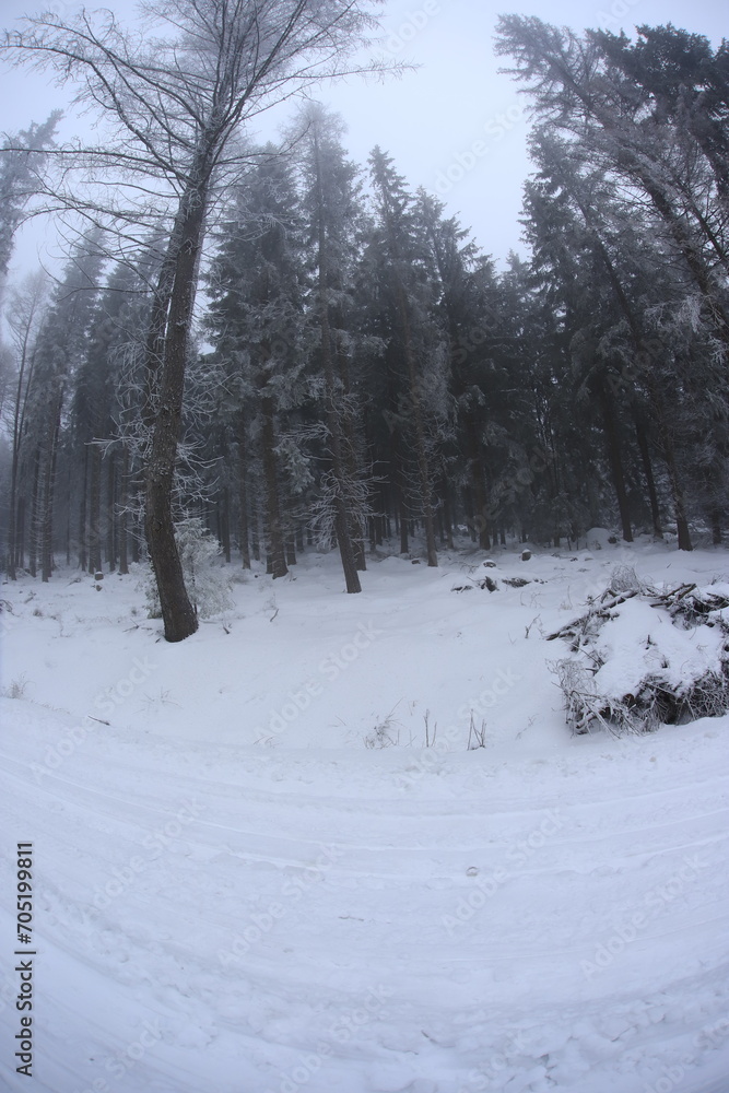 Fototapeta premium Snowy road in Sudety mountains, Poland