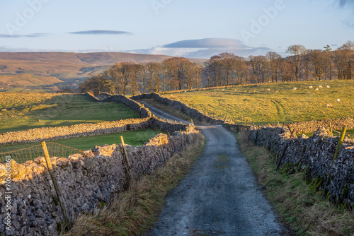 Walking in the Yorkshire Dales photo