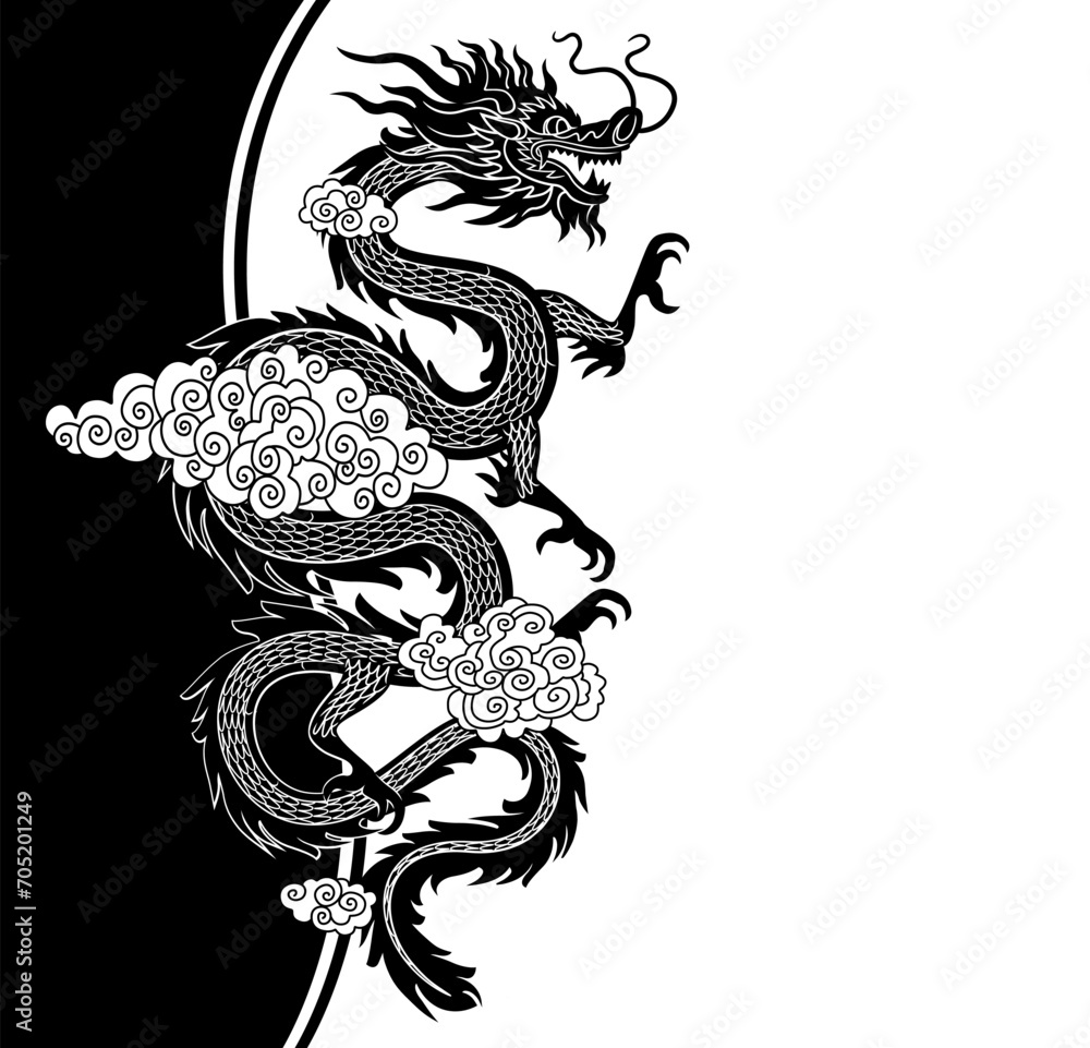 Black and white background with dragon. Vector illustration