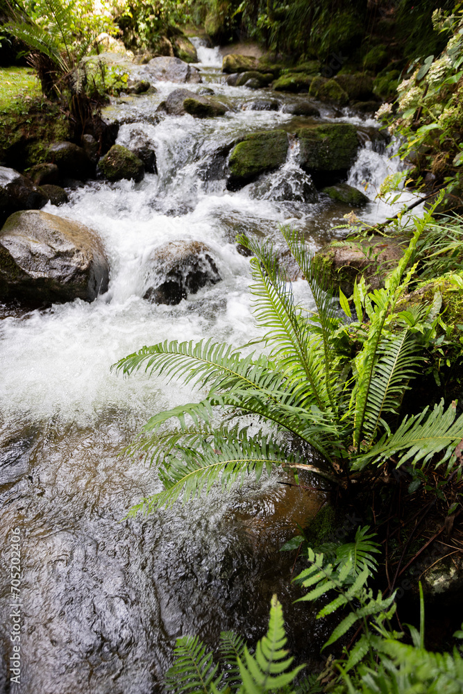 Pequena cachoeira, Visconde de Mauá, Rio de Janeiro Pequena cachoeira, Visconde de Mauá, Rio de Janeiro