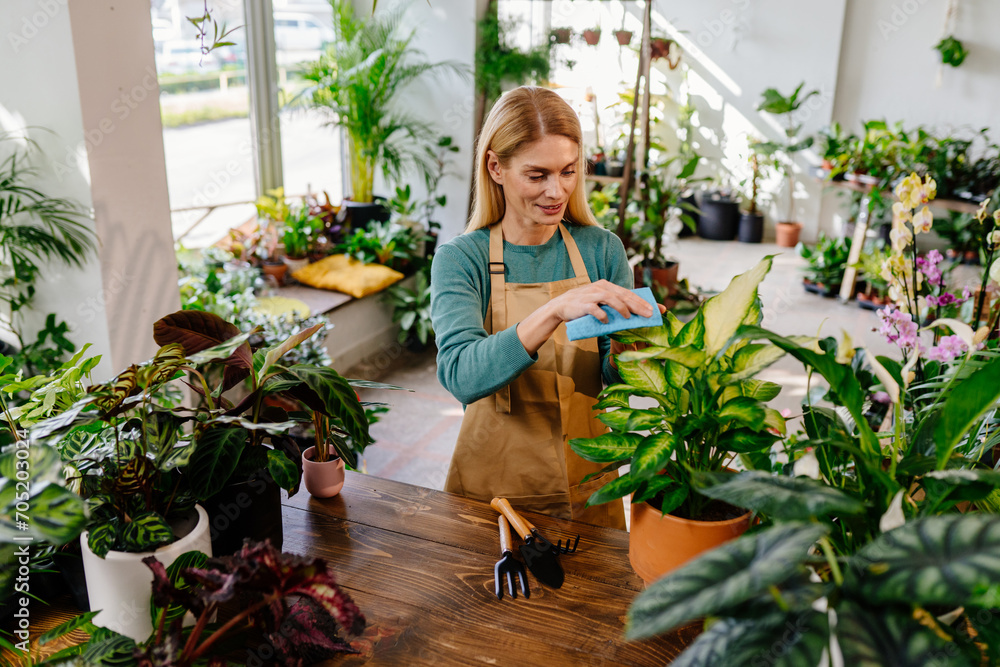 Botanical Brilliance: A Meticulous Middle-Aged Woman Expertly Dusting and Nurturing Potted Plants, Creating an Oasis of Green Tranquility in the Heart of Home or Florist's Store.