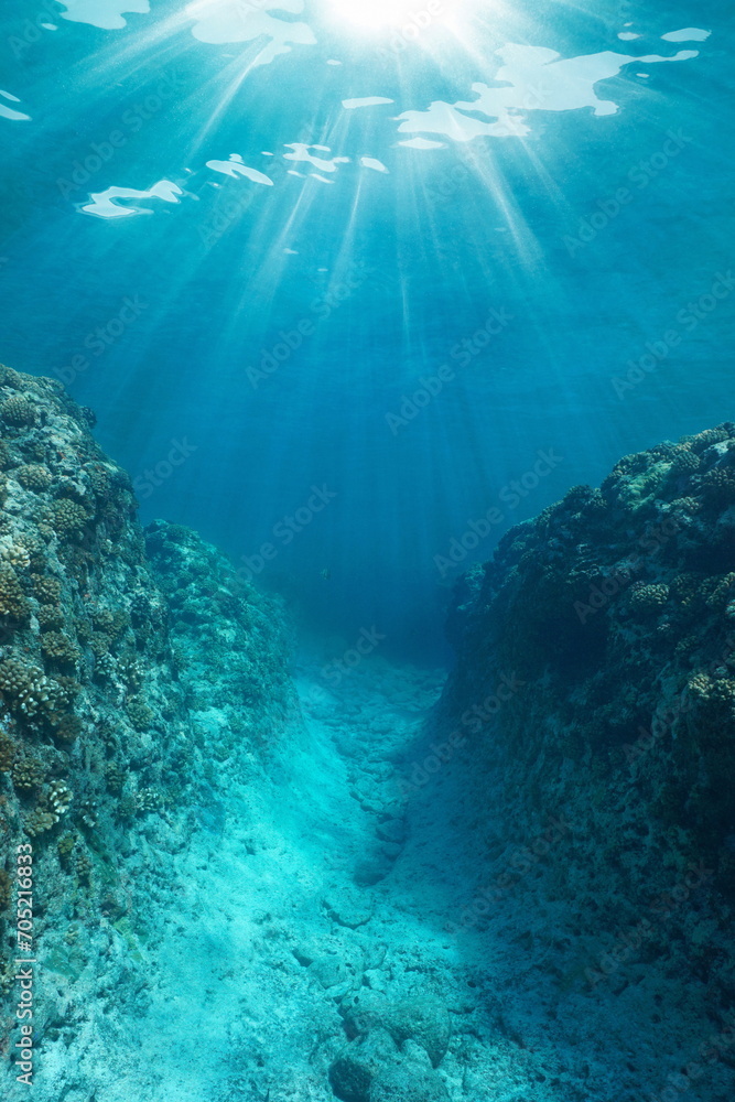 Fototapeta premium Underwater trench in the reef with sunlight in the Pacific ocean, French Polynesia, natural scene