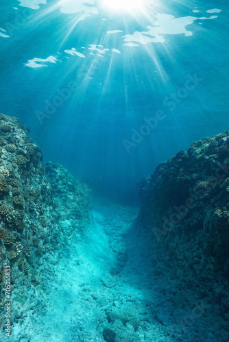 Underwater trench in the reef with sunlight in the Pacific ocean, French Polynesia, natural scene