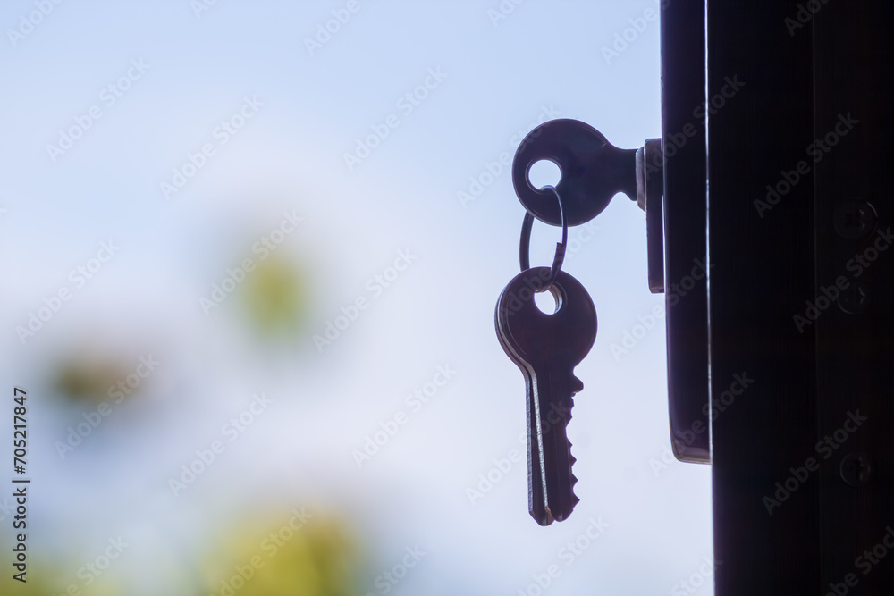 Key in a lock with a blurred background, symbolizing security and access Key in a lock with a blurred background, symbolizing security and access