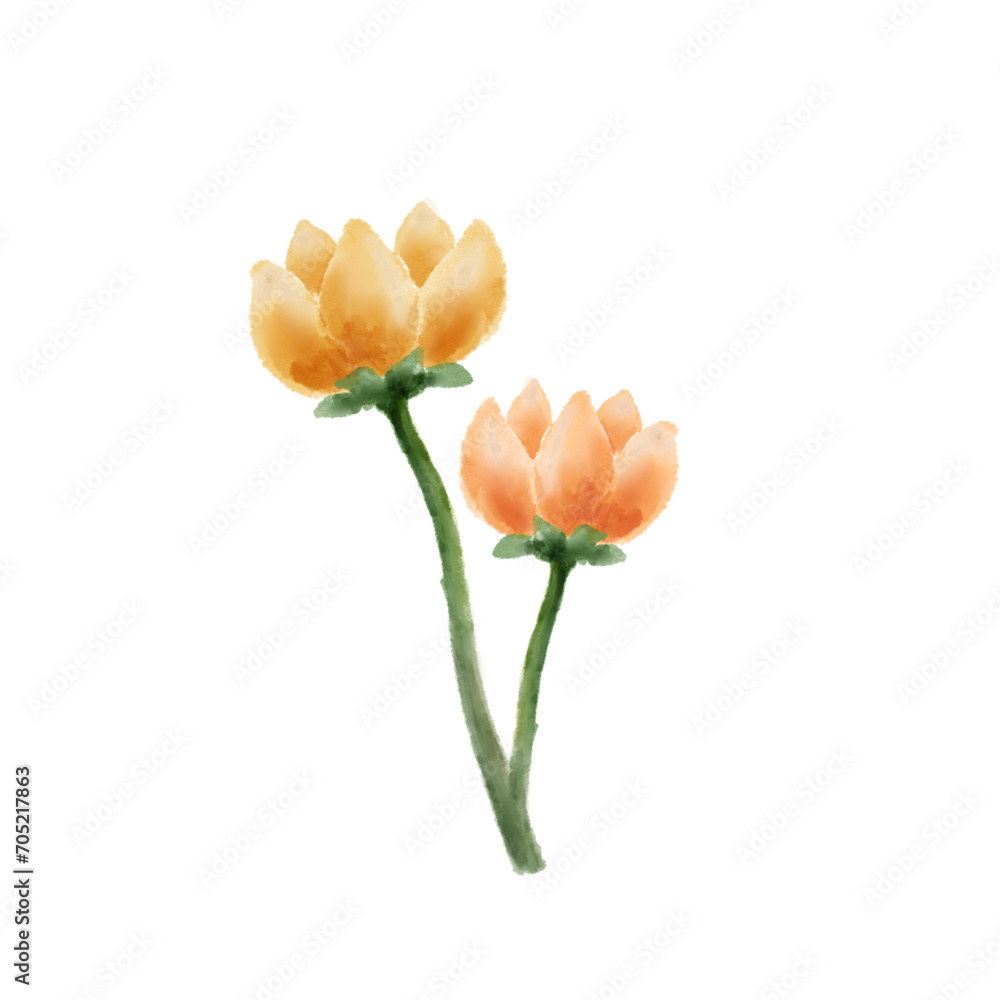 bouquet of tulips in watercolor bouquet of tulips in watercolor