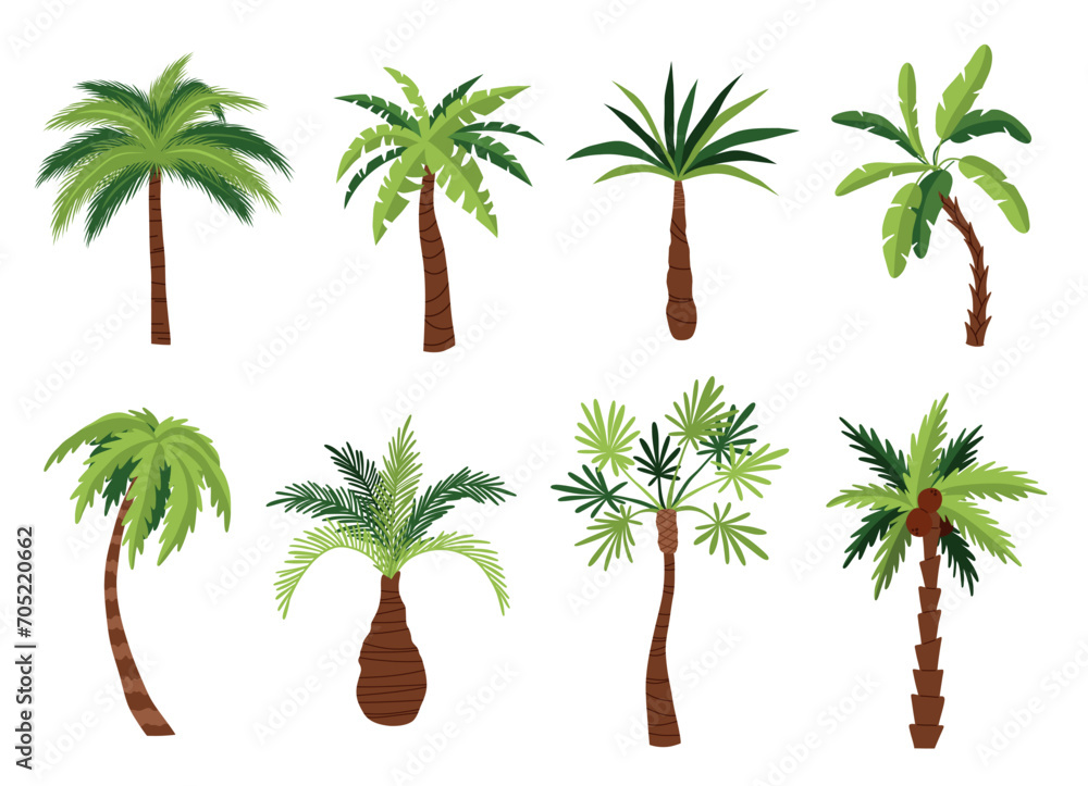 Cartoon palm trees types. Tropical exotic plants, green broad and narrow leaves, different trunks shapes, coconut and banana, vector set.eps - obrazy, fototapety, plakaty 