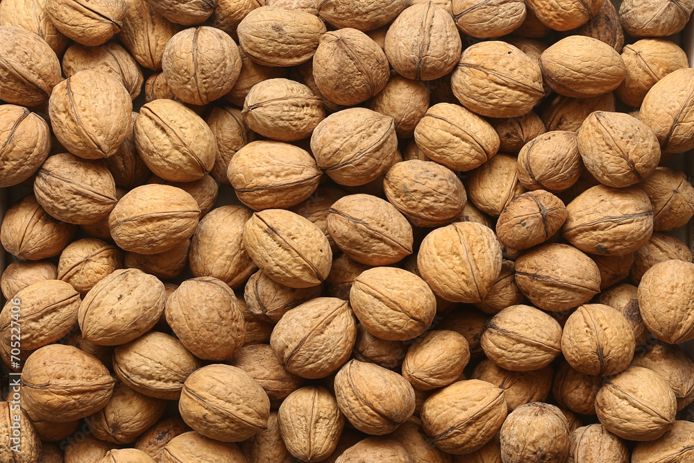 Unshelled walnuts in shells lie in an even layer on the table Unshelled walnuts in shells lie in an even layer on the table