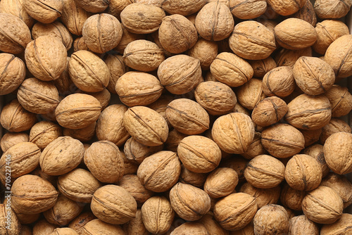 Unshelled walnuts in shells lie in an even layer on the table
