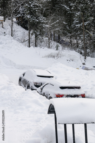 Wallpaper Mural The cars are parked in the middle of the snowdrifts, covered with snow. Torontodigital.ca