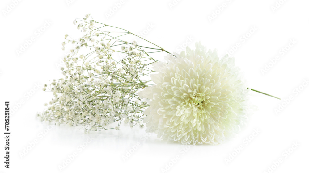 White Chrysanthemum and small white Gypsophila flowers isolated on white background..Border of white flowers for a card. White Chrysanthemum and small white Gypsophila flowers isolated on white background..Border of white flowers for a card.