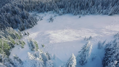 Free-riding ski tracks on winter meadow in Mount Baker National Forest. Ski tourism copy background in snowy landscape. North America mountain nature. Sunny winter morning. Stevens pass mountain range photo