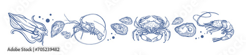 Isolated vector set of seafood. Shrimps, langoustines, prawns, salmon, trout, oysters, mussels, squid, crab, lemon.Hand-drawn seafood delicacy, restaurant and marine cafe menu.