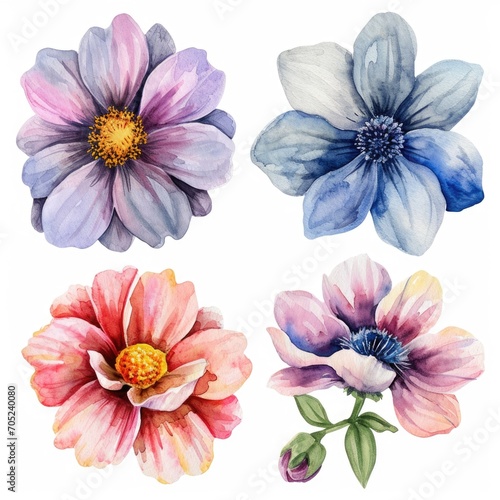 Set watercolor flowers. Different types 4 flowers. four flowers isolated  flat watercolor clipart set with white background . soft pastel color