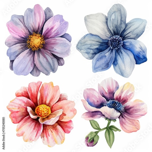 Set watercolor flowers. Different types 4 flowers. four flowers isolated, flat watercolor clipart set with white background . soft pastel color