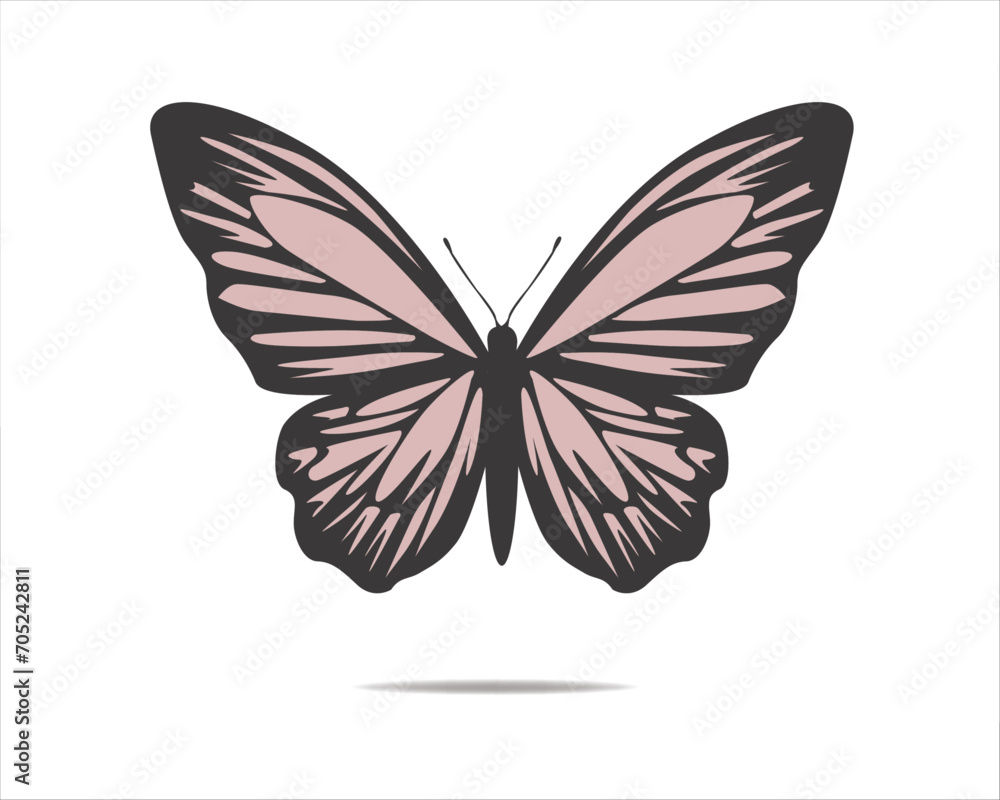butterfly illustration pink butterfly illustration pink