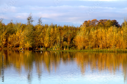 Autumn colors by the lake in the late autumn