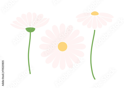 daisy set of cute hand drawn flowers vector illustration. minimalist flower decoration