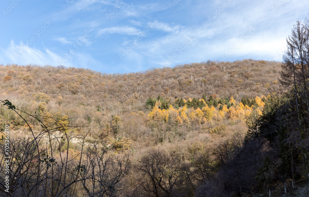 Fototapeta premium The mountain autumn colour