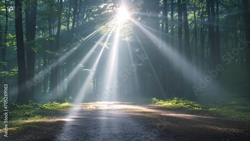 Sun rays moving trough beautiful green spring forest. Beautiful summer morning in the forest. Sun rays break through the foliage of magnificent green tree. Magical summer forest Magical landscape. Gol photo