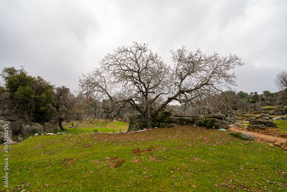 Majestic view of valley with beautiful rock formations on a autumn day. Adamkayalar, Selge, Manavgat, Antalya, Turkey.