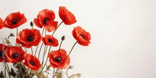 Beautiful bright red poppy flowers on a light background. Floral background. Generative AI