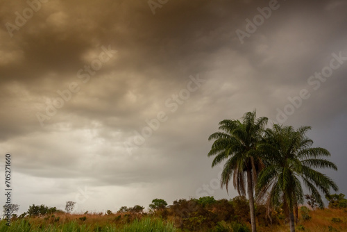 Storm clouds over the countryside with palm trees.